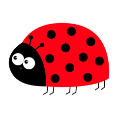 Lady bug ladybird insect icon print. Side view. Love greeting card. Cute cartoon kawaii funny baby character. Happy Valentines Day. Flat design. White background.
