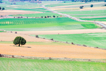Obraz premium aerial view of countryside fields
