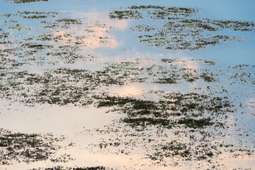 Wet lands reflecting the sky and cloud