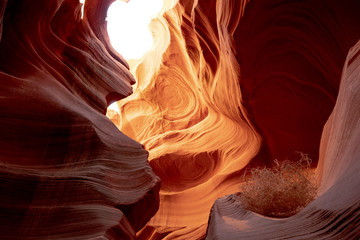 Antelope Canyon - amazing colors of the sandstone rocks - travel photography