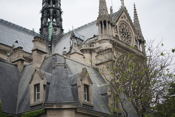 South Facade of Notre Dame, Paris