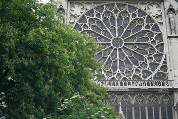 Rose Window of Notre Dame, Paris. 