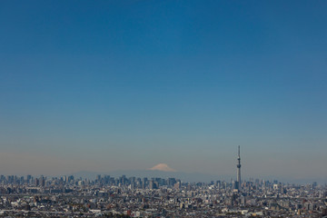 Obraz premium 東京高層ビルの眺望