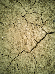 Dried soil texture