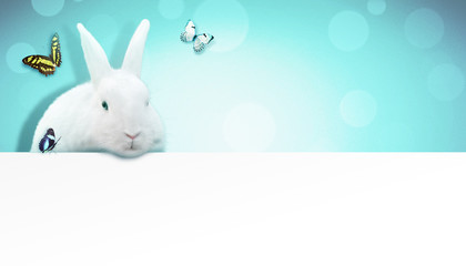 Ostern Kollage mit Osterhase