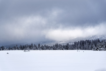 Panoramic view at a winter landscape in Harz mountains national park