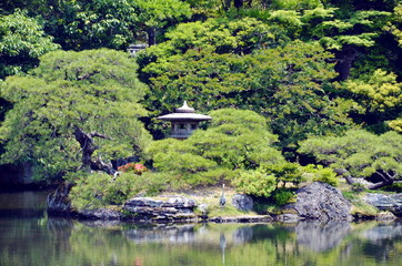 Pound in the Japanese garden, Kyoto.