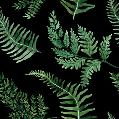 Watercolor seamless pattern with tropical leaves and houseplants leaves. Greenery. Succulent. Floral Design element. Perfect for invitations, cards, prints, posters