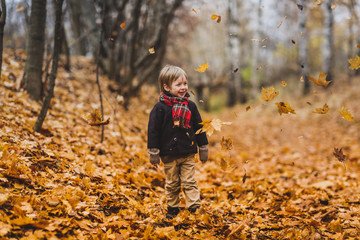 Boy in coat with autumn leaves in park,autumn mood