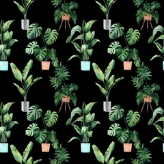Foto auf Acrylglas Watercolor seamless pattern with tropical leaves and houseplants leaves. Greenery. Succulent. Floral Design element. Perfect for invitations, cards, prints, posters © Anastasiia