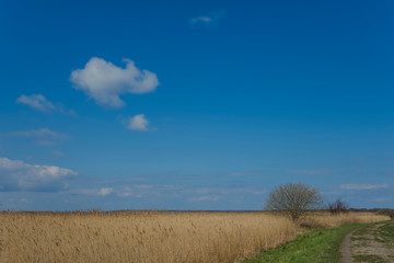 Obraz premium Sunny day baltic sea outdoor no people