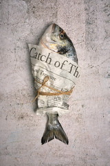 Fresh raw sea bream fish in newspaper on concrete background. Healthy food concept, top view, copy space. Dorado,