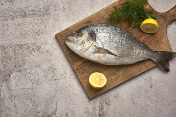 Fresh raw sea bream fish decorated with lemon slices, herbs and sea shells on background. Healthy food concept, top view, copy space. Dorado,