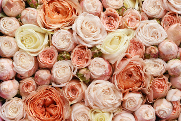Many delicate rosebuds  are a top view. Vintage style.