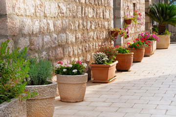 Fototapeta na wymiar Pots with bushes of blooming plants. Landscape design. Bushes with red, pink and purple flowers in light ceramic flower pots.