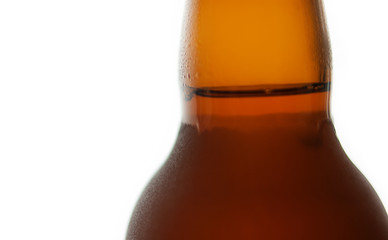 Beer bottle with water drops isolated on white background