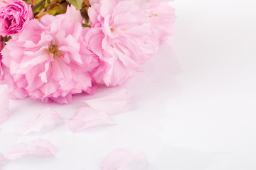 Pink cherry blossoms.