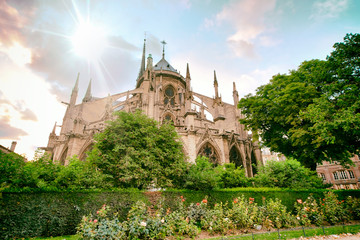 Obraz premium Notre Dame exterior view from along the Seine River, Paris