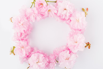 Pink floral composition. Round frame wreath pattern made of pink cherry blossoms, white background