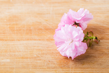 Fototapeta na wymiar Spring cherry blossoms on wooden table