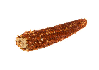 corn isolated on white background