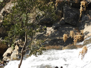 kothapally or kothapalli waterfalls near lambasingi