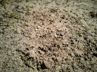 Dried soil texture