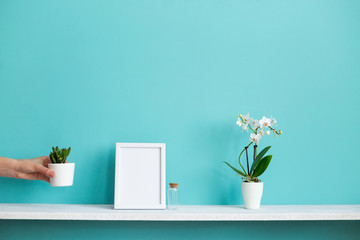 Modern room decoration with Picture frame mockup. White shelf against pastel turquoise wall with potted orchid and hand putting down succulent plant.