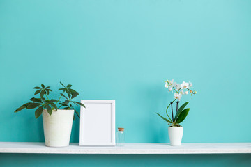 Modern room decoration with Picture frame mockup. White shelf against pastel turquoise wall with potted orchid and schefflera plant.