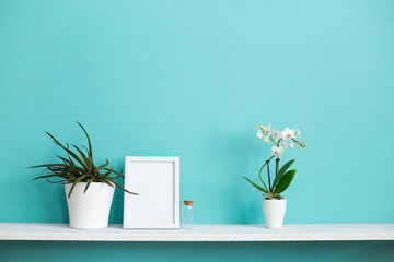 Modern room decoration with Picture frame mockup. White shelf against pastel turquoise wall with potted orchid and succulent plant.