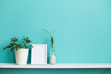Modern room decoration with Picture frame mockup. White shelf against pastel turquoise wall with spider plant cuttings in water and schefflera.