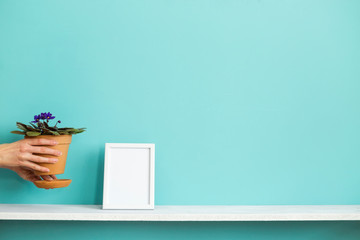Modern room decoration with Picture frame mockup. White shelf against pastel turquoise wall with hand putting down potted violet plant.