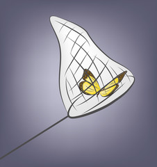 butterfly caught in the net. vector illustration.