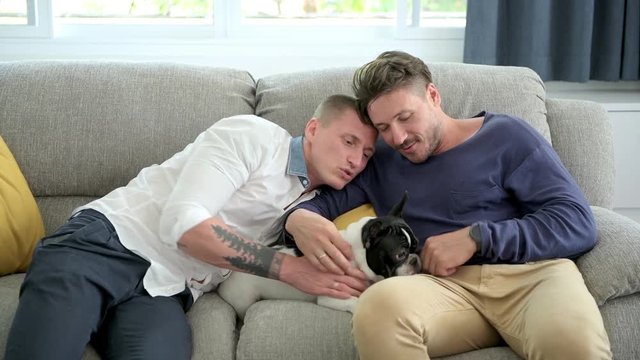 Young gay male couple relaxing on couch with dog in living room. Caucasian, european men sitting together on sofa. Rubbing dog's head. Happy gay friendship, relationship, lifestyle concept. 