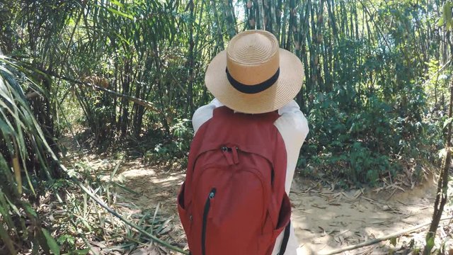 4K Woman with backpack on trek through jungle forest stopping taking picture