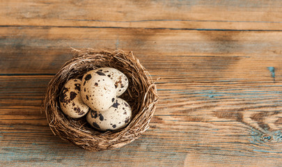 Quail eggs in a straw nest