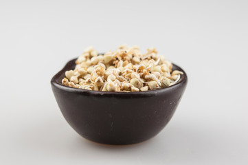 Sprouts of green buckwheat in a bowl. Macro shot. Raw buckwheat. Useful food from buckwheat sprouts for vegetarian food.