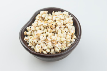 Sprouts of green buckwheat in a bowl. Macro shot. Raw buckwheat. Useful food from buckwheat sprouts for vegetarian food.