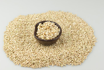 Sprouts of green buckwheat in a bowl. Macro shot. Raw buckwheat. Useful food from buckwheat sprouts...