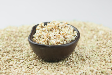Sprouts of green buckwheat in a bowl. Macro shot. Raw buckwheat. Useful food from buckwheat sprouts for vegetarian food.