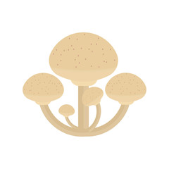 Flat Illustration of Honey Fungus