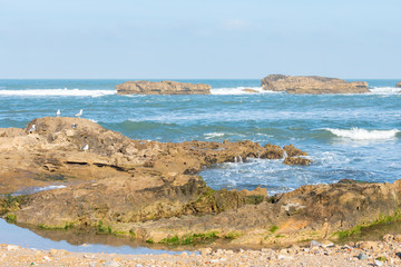 Rock Formations on the Coastline of Essaouira Morocco