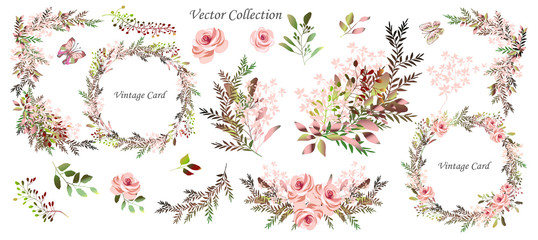 Vector. Wreaths.  Botanical collection of wild and garden plants. Set: leaves, flowers, branches, pink roses,floral arrangements, natural elements. - 262237246