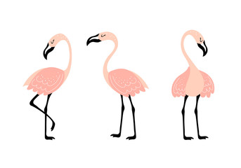Vector set with three pink flamingos