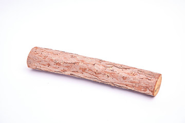 tree trunk