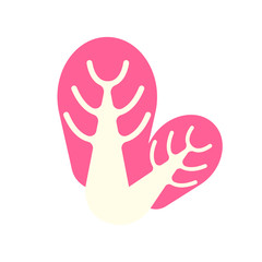 Radichio Illustration