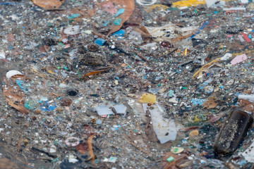 小笠原の海に浮かぶプラスッチックゴミ