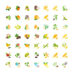 Set Vector Flat Icons of Grains, Nuts and Herbs.