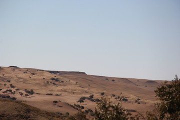 Fototapeta na wymiar view of desert