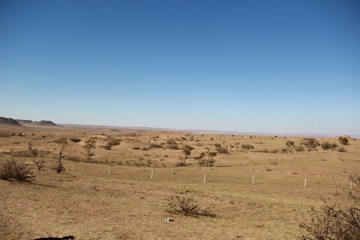 view of desert